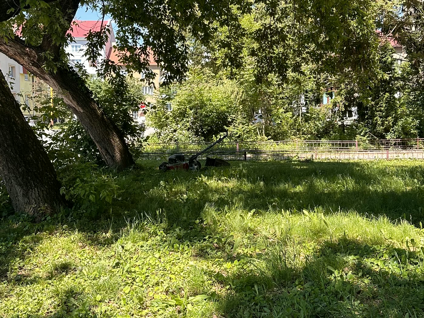 Tá istá plocha pred pokosením, zarastená